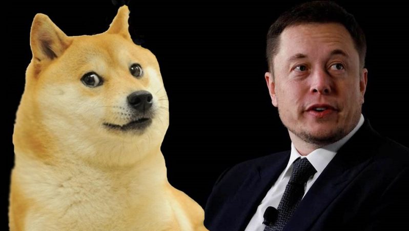 Elon Musk’ın Üniversite Projesinde “Dogecoin” Detayı