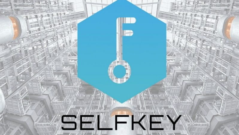 Key Coin(SelfKey) Nedir, Nasıl ve Nereden Alınır? Geleceği, Yorumları