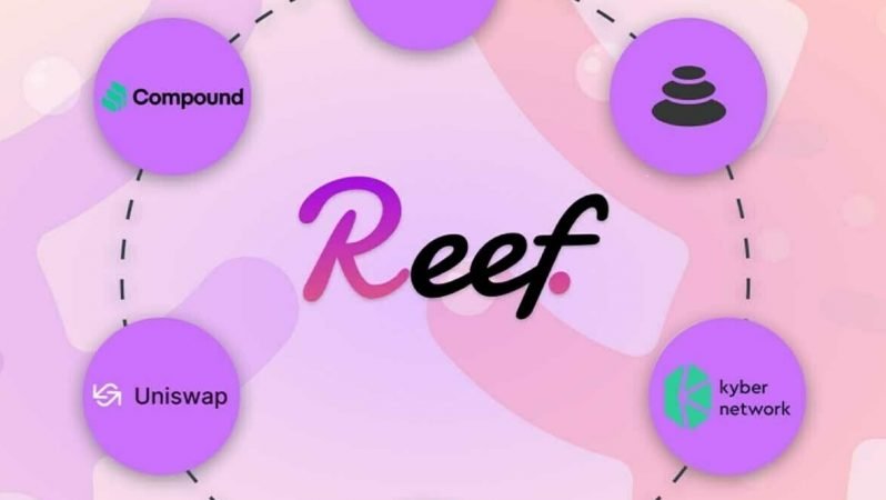 reef coin nedir